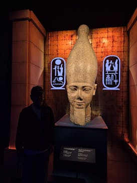 ACN ラムセス大王展 ファラオたちの黄金に投稿された画像（2025/4/29）