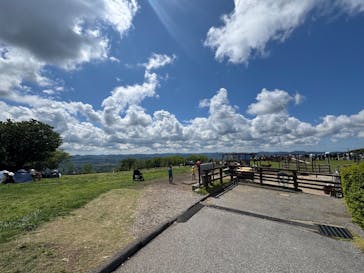 マザー牧場に投稿された画像（2025/4/29）