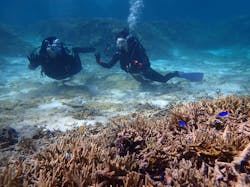 marine assist DEMI（マリンアシストデミ）に投稿された画像（2025/4/29）