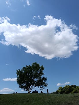 万博記念公園に投稿された画像（2025/4/29）