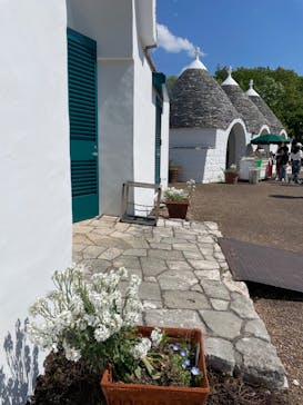 野外民族博物館 リトルワールドに投稿された画像（2025/4/29）