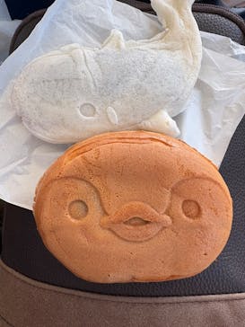 横浜・八景島シーパラダイスに投稿された画像（2025/4/29）