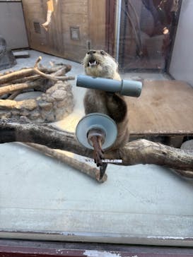 横浜・八景島シーパラダイスに投稿された画像（2025/4/29）