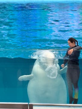 横浜・八景島シーパラダイスに投稿された画像（2025/4/29）