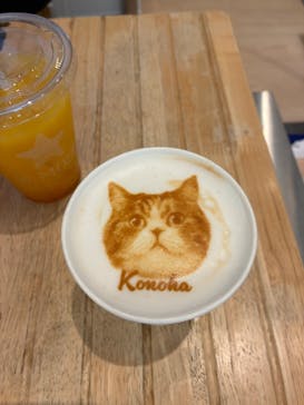 Cat Café MOFF 名古屋PARCO店に投稿された画像（2025/4/29）