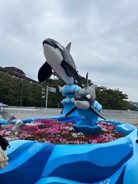 鴨川シーワールドに投稿された画像（2025/4/29）