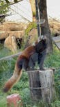 天王寺動物園に投稿された画像（2025/4/29）