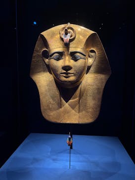 ACN ラムセス大王展 ファラオたちの黄金に投稿された画像（2025/4/29）