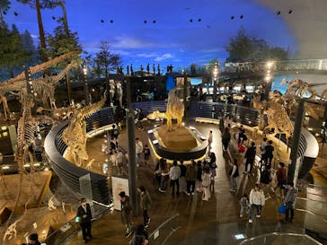 福井県立恐竜博物館に投稿された画像（2025/4/29）