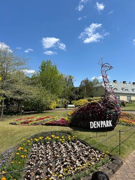 安城産業文化公園デンパークに投稿された画像（2025/4/29）