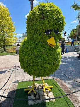 安城産業文化公園デンパークに投稿された画像（2025/4/29）