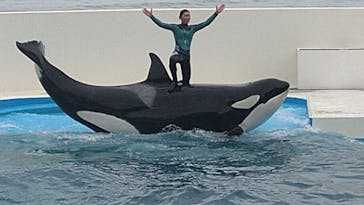 鴨川シーワールドに投稿された画像（2025/4/29）