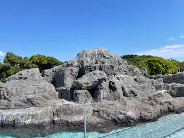 葛西臨海水族園に投稿された画像（2025/4/29）