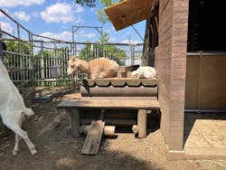 大阪府立花の文化園に投稿された画像（2025/4/29）