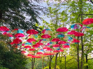 ムーミンバレーパークに投稿された画像（2025/4/29）