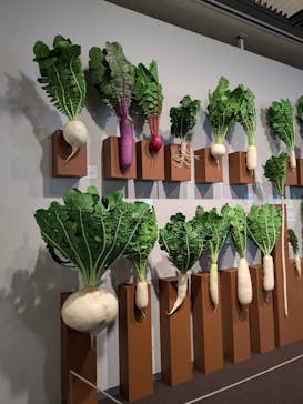 特別展「和食 ～日本の自然、人々の知恵～」に投稿された画像（2025/4/29）