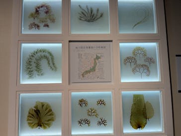 特別展「和食 ～日本の自然、人々の知恵～」に投稿された画像（2025/4/29）