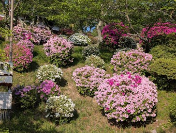 尾道市立美術館に投稿された画像（2025/4/29）