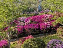 尾道市立美術館に投稿された画像（2025/4/29）