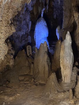 おきなわワールドに投稿された画像（2025/4/29）