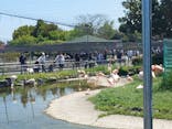 東武動物公園に投稿された画像（2025/4/29）