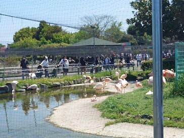 東武動物公園に投稿された画像（2025/4/29）