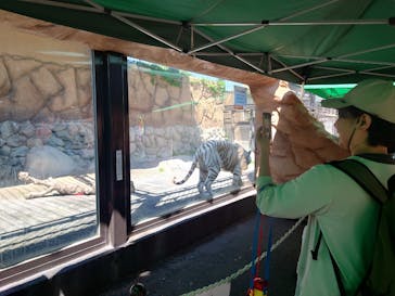 東武動物公園に投稿された画像（2025/4/29）