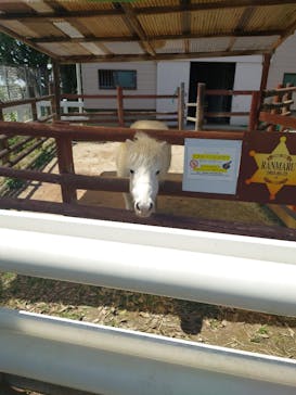 東武動物公園に投稿された画像（2025/4/29）