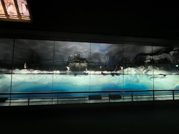 名古屋港水族館に投稿された画像（2025/4/29）