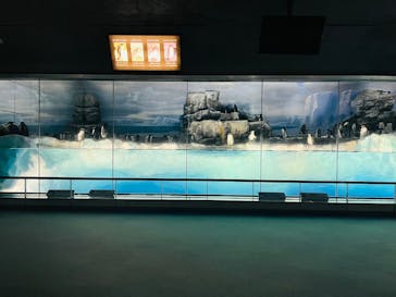 名古屋港水族館に投稿された画像（2025/4/29）