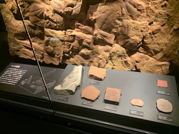 国立科学博物館に投稿された画像（2025/4/29）