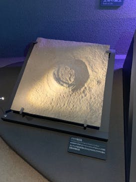 国立科学博物館に投稿された画像（2025/4/29）