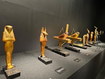 MYSTERY OF TUTANKHAMEN 体感型古代エジプト展に投稿された画像（2025/4/29）