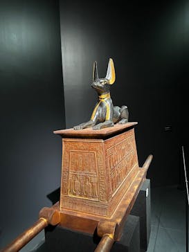 MYSTERY OF TUTANKHAMEN 体感型古代エジプト展に投稿された画像（2025/4/29）