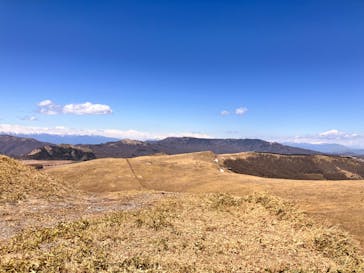車山高原SKYPARK RESORTに投稿された画像（2025/4/29）