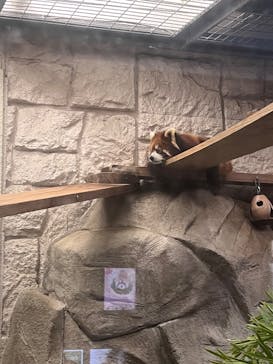 天王寺動物園に投稿された画像（2025/4/29）