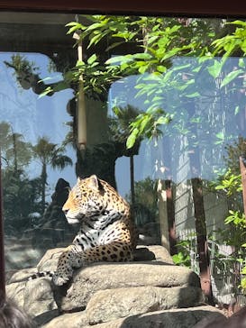 天王寺動物園に投稿された画像（2025/4/29）