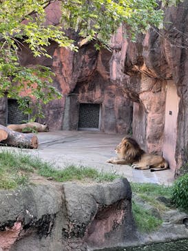 天王寺動物園に投稿された画像（2025/4/29）