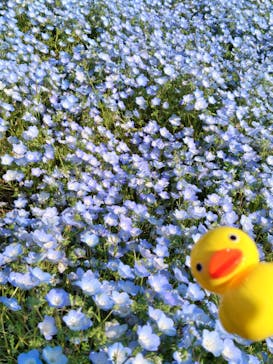 マリンワールド海の中道に投稿された画像（2025/4/29）