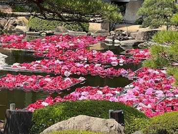 日本庭園　由志園に投稿された画像（2025/4/29）