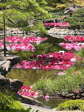 日本庭園　由志園に投稿された画像（2025/4/29）