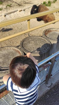 東武動物公園に投稿された画像（2025/4/29）