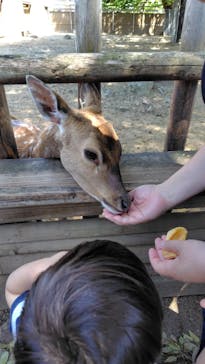 東武動物公園に投稿された画像（2025/4/29）