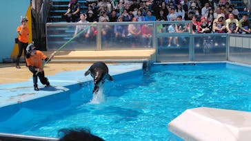 東武動物公園に投稿された画像（2025/4/29）