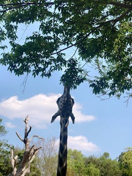 天王寺動物園に投稿された画像（2025/4/29）