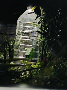 Mozuミニチュア展2025　ようこそ、ちいさな世界へ。に投稿された画像（2025/4/29）