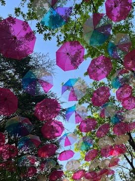 ムーミンバレーパークに投稿された画像（2025/4/29）