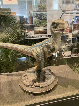 福井県立恐竜博物館に投稿された画像（2025/4/29）