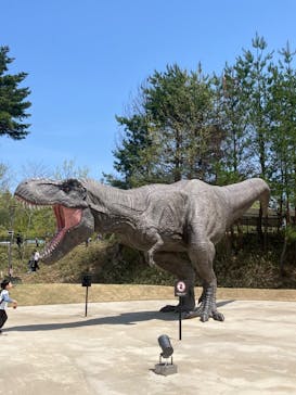 福井県立恐竜博物館に投稿された画像（2025/4/29）