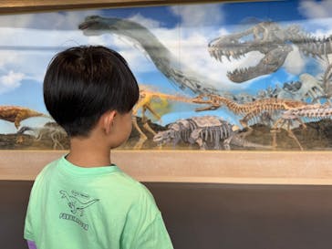 福井県立恐竜博物館に投稿された画像（2025/4/29）